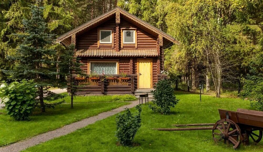 Коттеджи на берегу вуоксы. Ленинградская область отдых с животными. Турбаза в ленинградской области на берегу озера. Илоранта выборг база отдыха. База отдыха озерный берег ленинградская область.