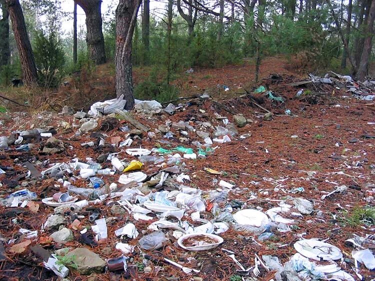 Загрязнение почвы отходами. Загрязнение почвы мусором. Загрязнение почвы. Бытовое загрязнение почв. Промышленные отходы.