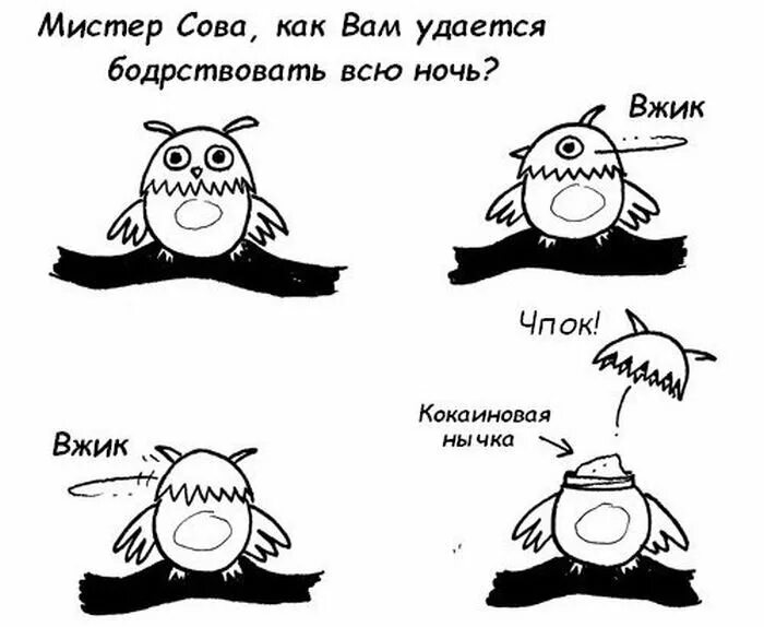 Сова кокаиновая НЫЧКА. Мем кокаиновая НЫЧКА. Как не спать всю ночь. Вжик Вжик кокаиновая НЫЧКА.