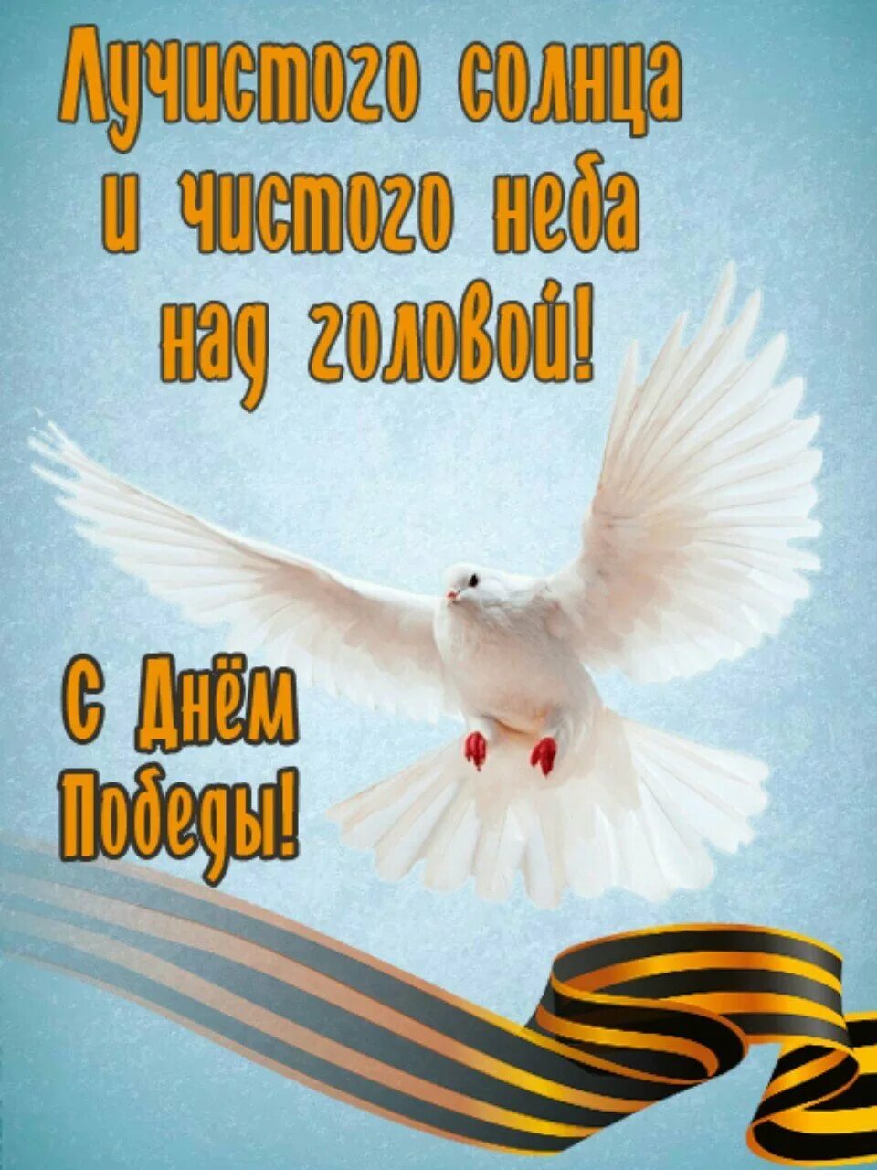 Добрый день и мирного неба над головой. Доброе утро мирного неба над головой. мирное небо. дтброго утртра и миррого неба над головой. доброе утро мирного неба над головой открытки.