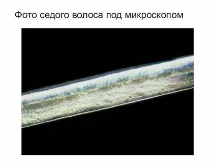Измерили толщину человеческого волоса d