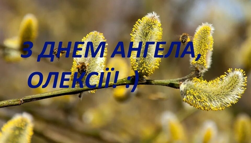 Когда праздник теплый алешка. Открытки с теплым Алексеем. Именины Алексея. С днем теплого Алексея.