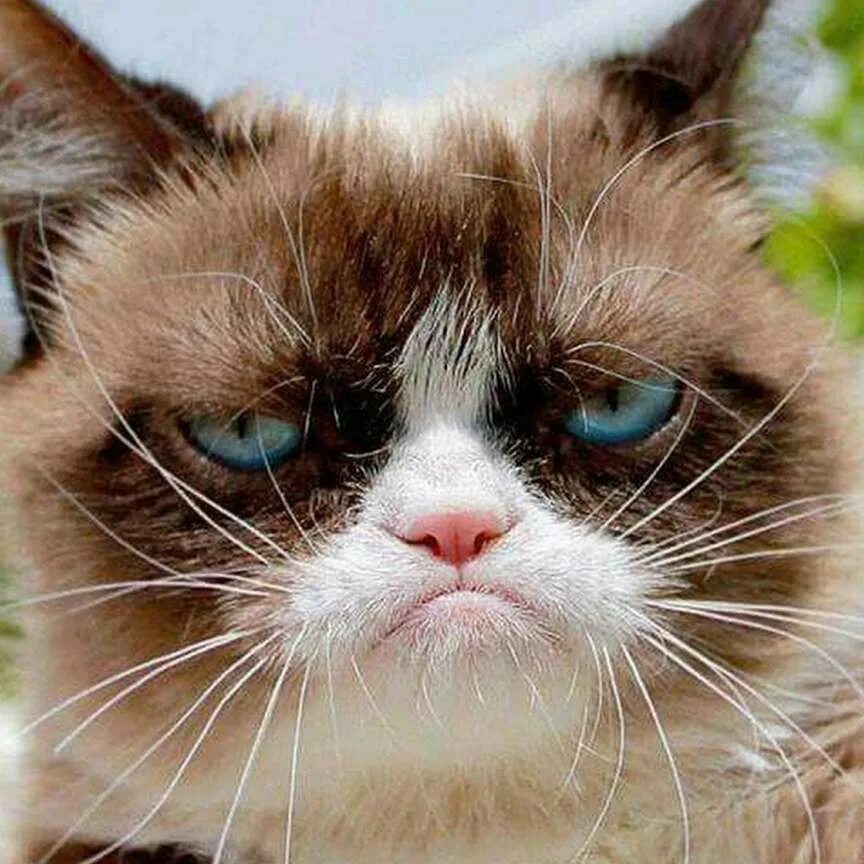 Grumpy s. Grumpy s