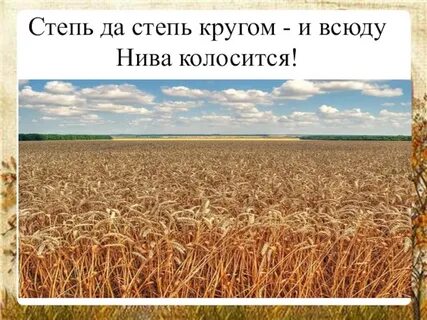 В степи 4 класс перспектива