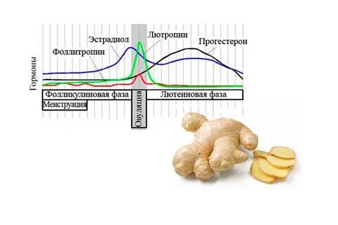 Нерегулярный цикл что делать