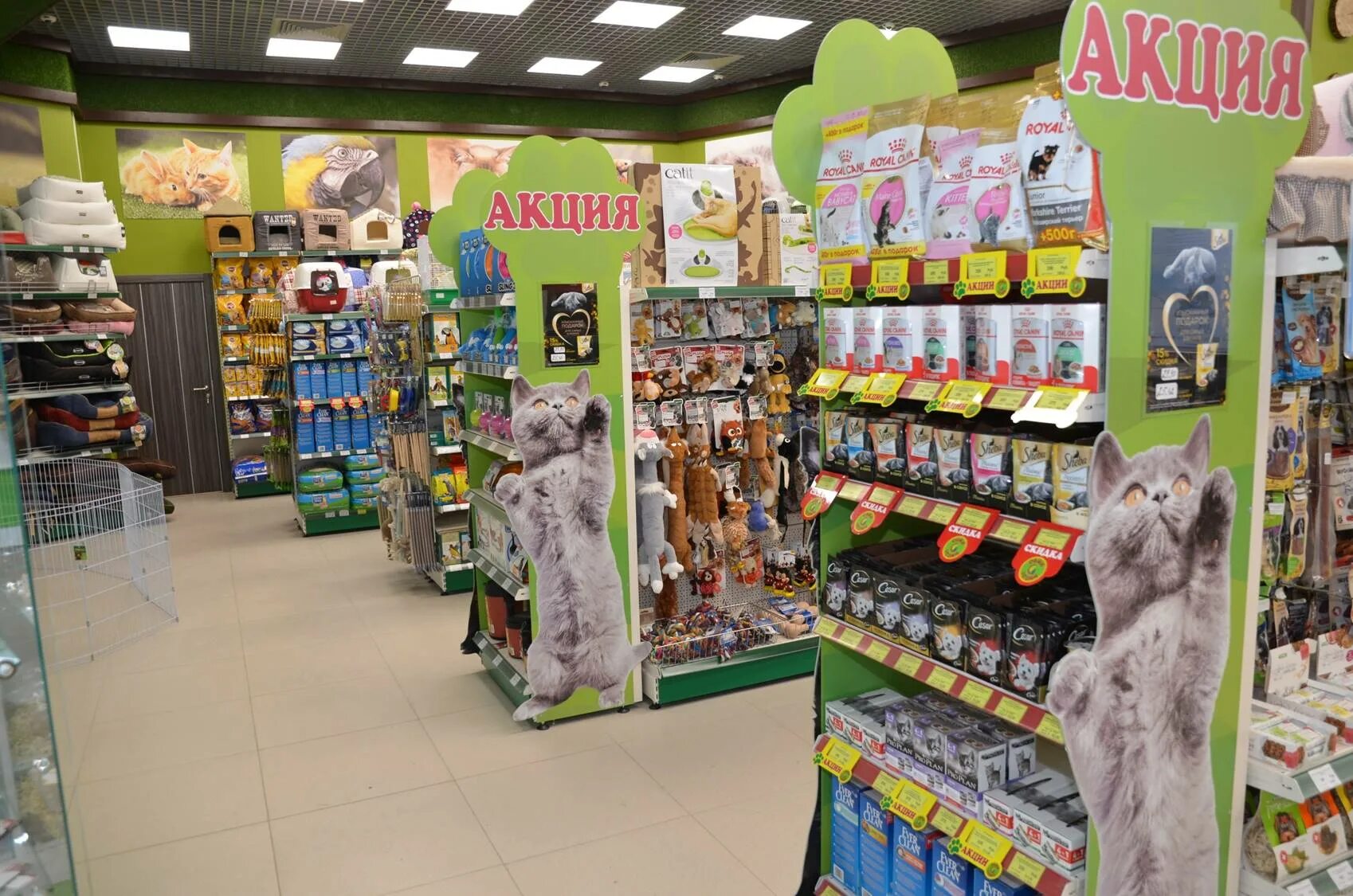 зоомагазин сергиев посад сами с усами. зоомагазин в мозаике на дубровке. сами с усами красный кит мытищи. зоомагазины с животными в москве. зоомагазин.