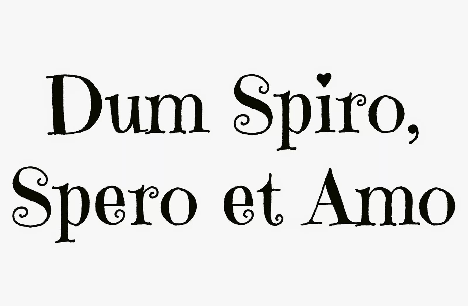 Пока дышу надеюсь латынь. Надпись Dum Spiro spero. Тату надпись Dum Spiro spero. Пока живу надеюсь на латыни. Дум Спиро сперо латынь.