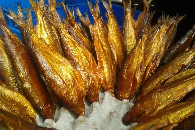 сиг рыба холодного копчения. рыба сиг копченая. сиг рыба холодного копчения. севанский сиг горячего копчения. рыба сиг копченая.