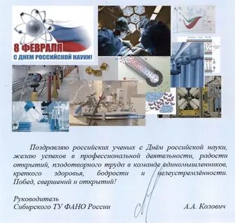 День ран