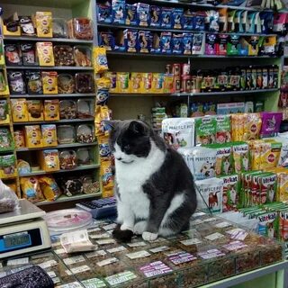 Зоомагазин продать животных
