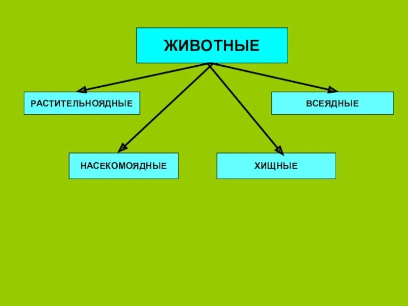 Как питаются животные. Как питаются животные. Питание животных 3 класс окружающий мир. Растительноядные животные 3 класс окружающий. Группы животных растительноядные.