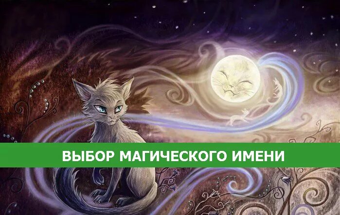 Девушки стихии. Девушка и ночь. Имя волшебство. Имя волшебство. Рисунки фэнтези.