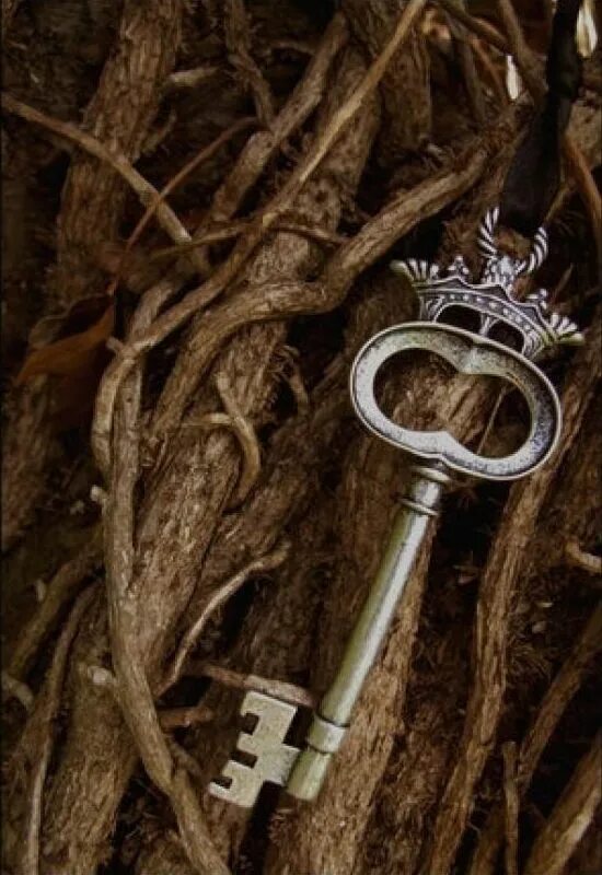 Старинный ключ. Красивые ключи. Красивый старинный ключ. Необычные ключи. Ключ к тайне жизни функциональная