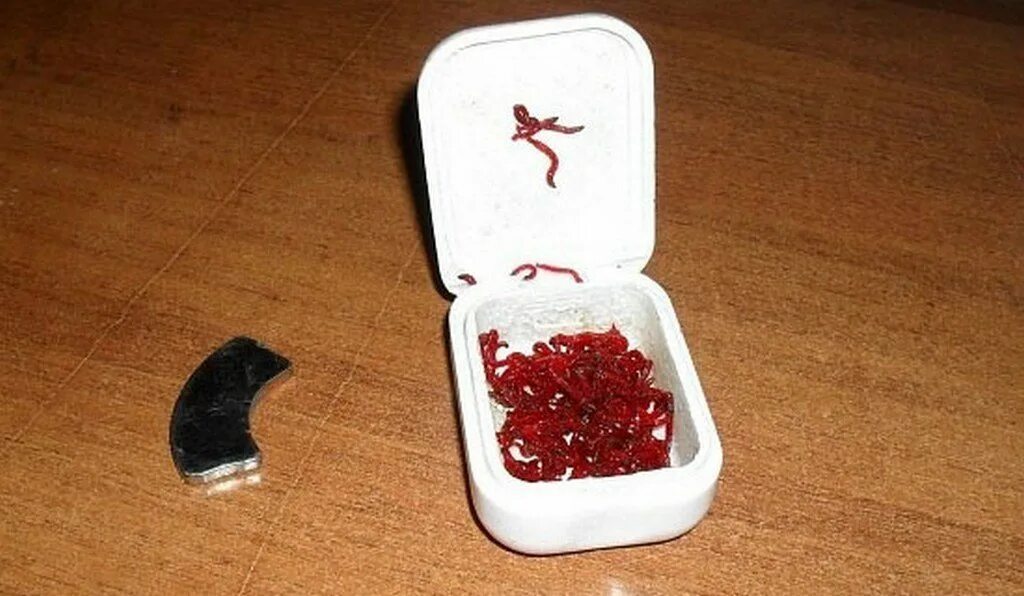 Как хранить мотыля зимой. Приспособление для добычи мотыля. Как хранить мотыля зимой. Как хранить мотыля в домашних. Хранение мотыля для рыбалки.