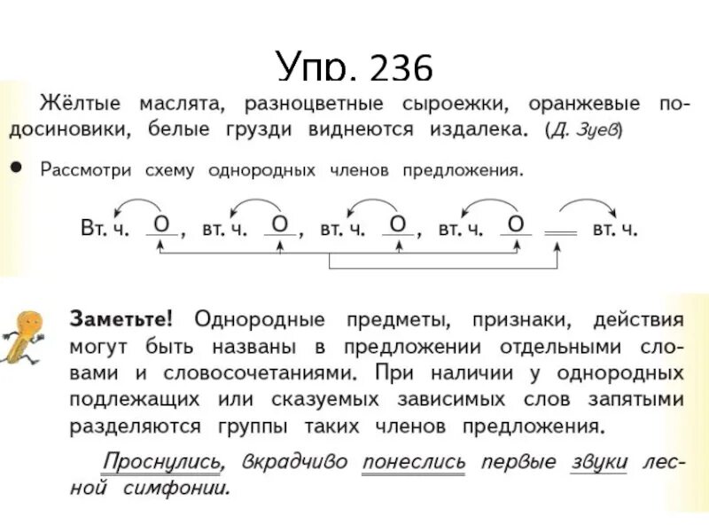 Предложения с однородными подлежащими и сказуемыми 4 класс. Упр 236. Зависимые слова у однородных. Согласасованное сказуемое с однородными подлежащими.