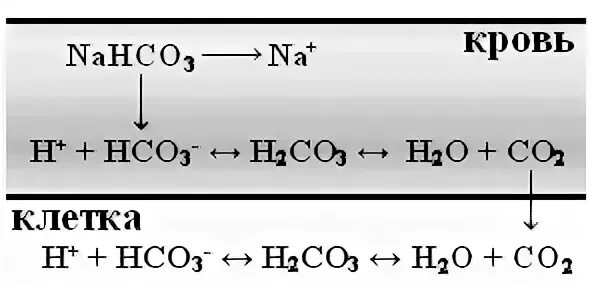 Nahco3 соединение