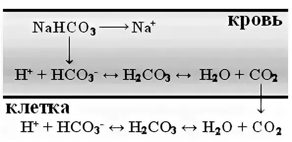 Nahco3 среда. Диссоциация гидрокарбоната натрия. Диссоциация гидрокорбанатанатрия. Реакция диссоциации натрия гидрокарбонат. Уравнение диссоциации гидрокарбоната натрия.