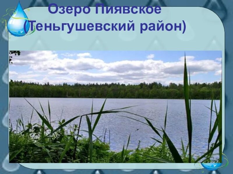 Водные богатства Республики Мордовия. Пиявское озеро Мордовия. Карстовые озера Мордовии. Водные богатства Мордовии 2 класс. Водные богатства воронежского края 2 класс