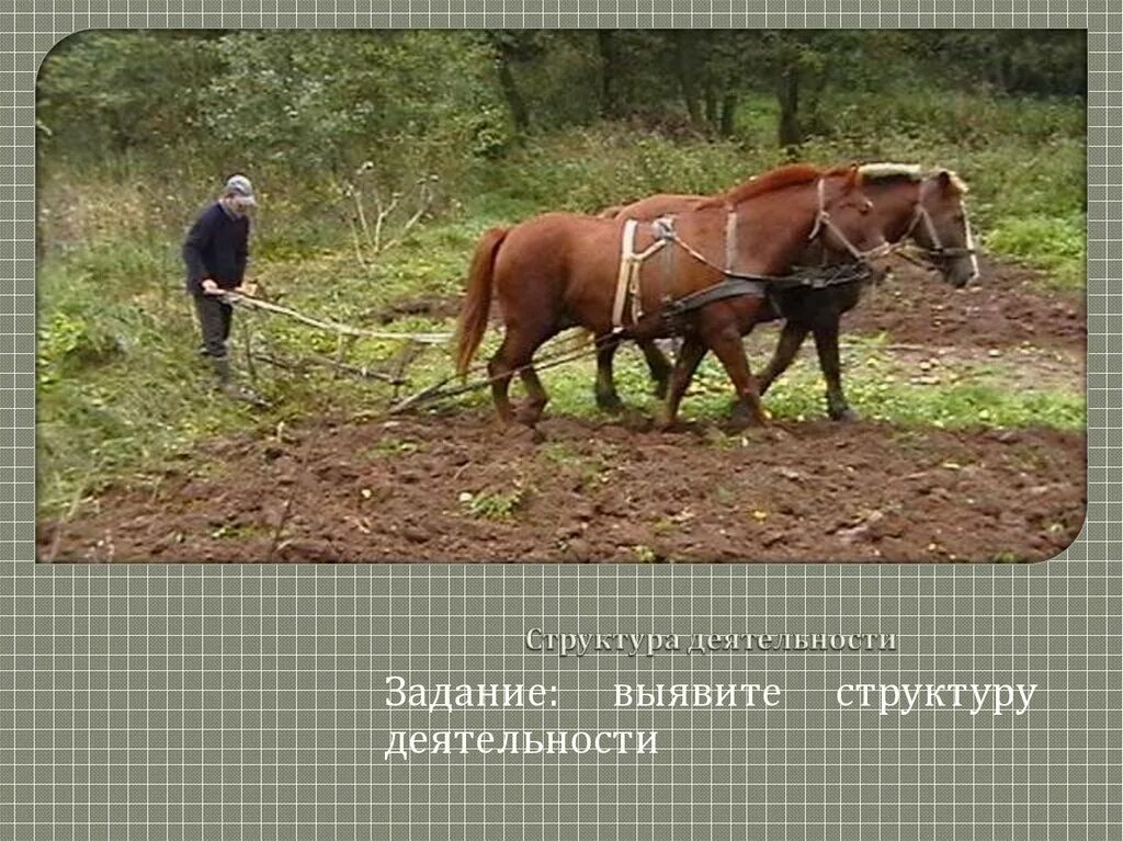 Лошадь тянет плуг. Конь с плугом. плуг для лошади. лошади на службе у человека. лошадь пашет.