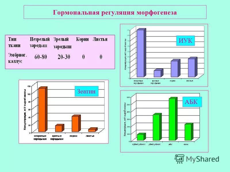 Генетика лабораторные работы