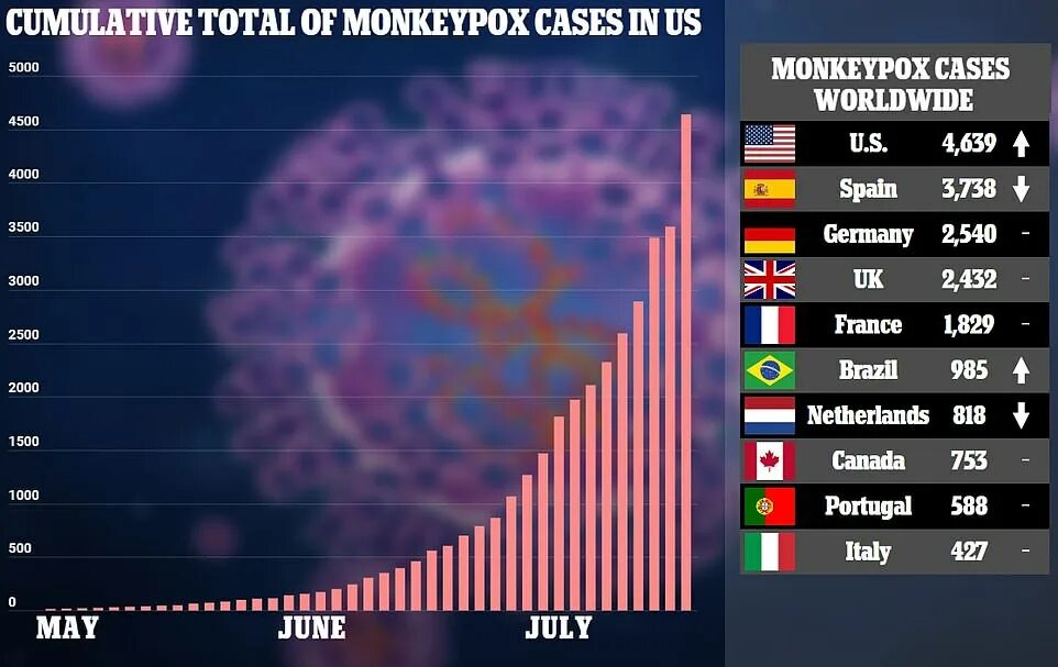 Обезьянья оспа статистика в мире. Оспа обезьян статистика. monkeypox who эпидемиология карта август 2025. оспы обезьян фото заболевания.