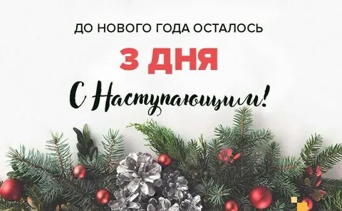Сколько дней до 16 января