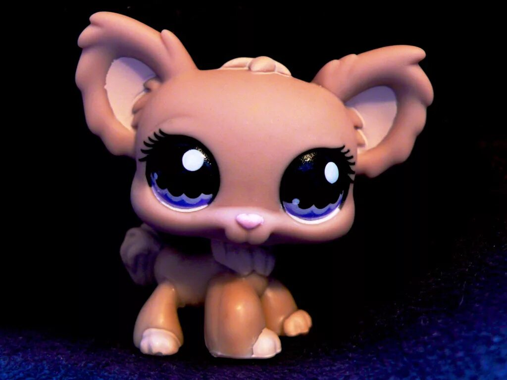 Музыка пет шоп. Лпс 609. Музыка пет шоп. Littlest pet shop 145. Музыка пет шоп.