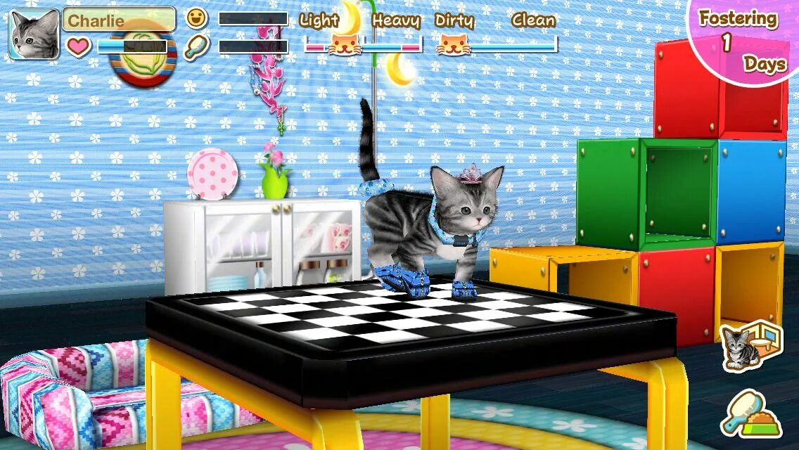 My cat new. Игры для кошек. Игра котики. Игры про котят. Игры про кошечек.