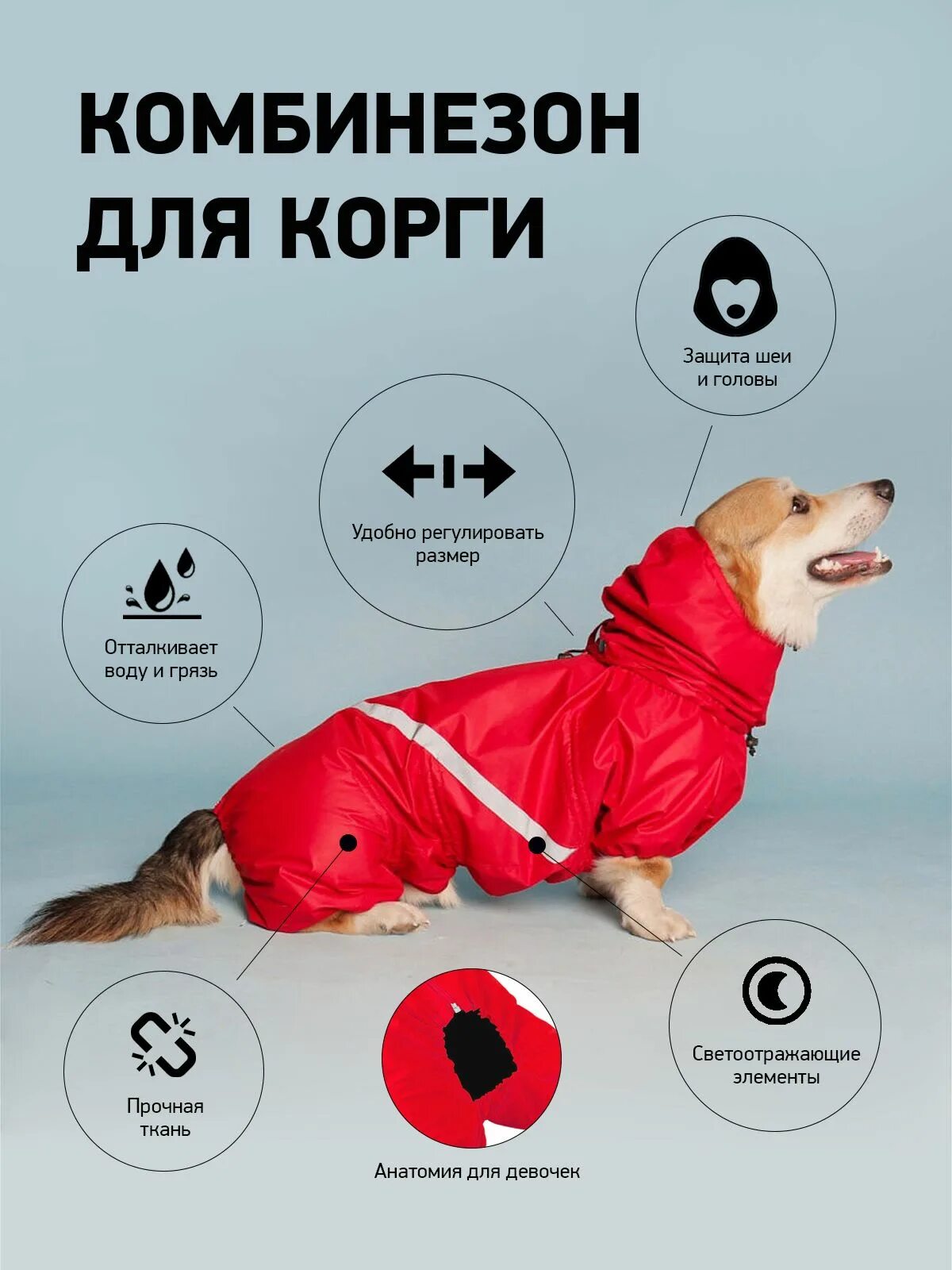 Комбинезон для корги мальчиков. Комбинезон-дождевик "корги", 49см (gamma). Комбинезон для корги мальчиков. Корги комбинезоны formydogs. Комбинезон для корги мальчиков.
