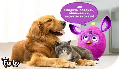 20 февраля день любви к своему питомцу