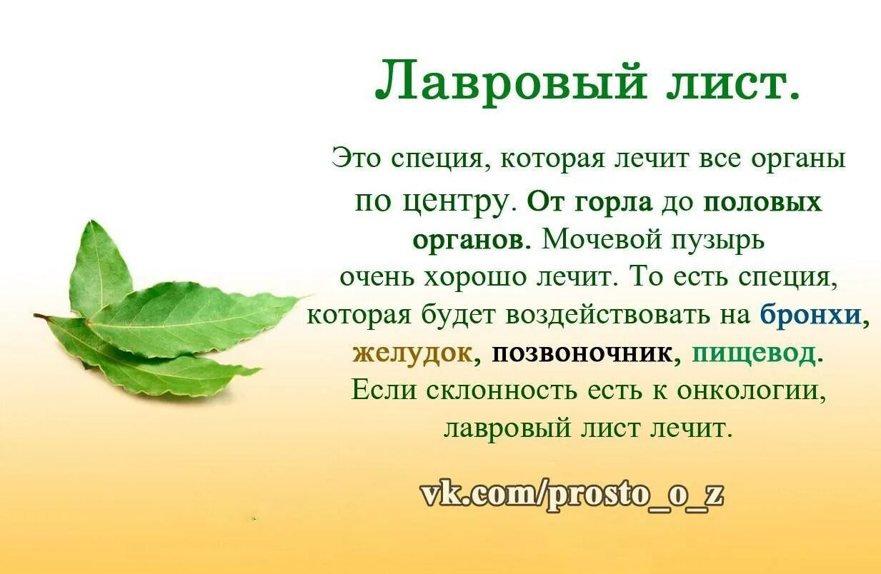 Трепещущий листок лечат