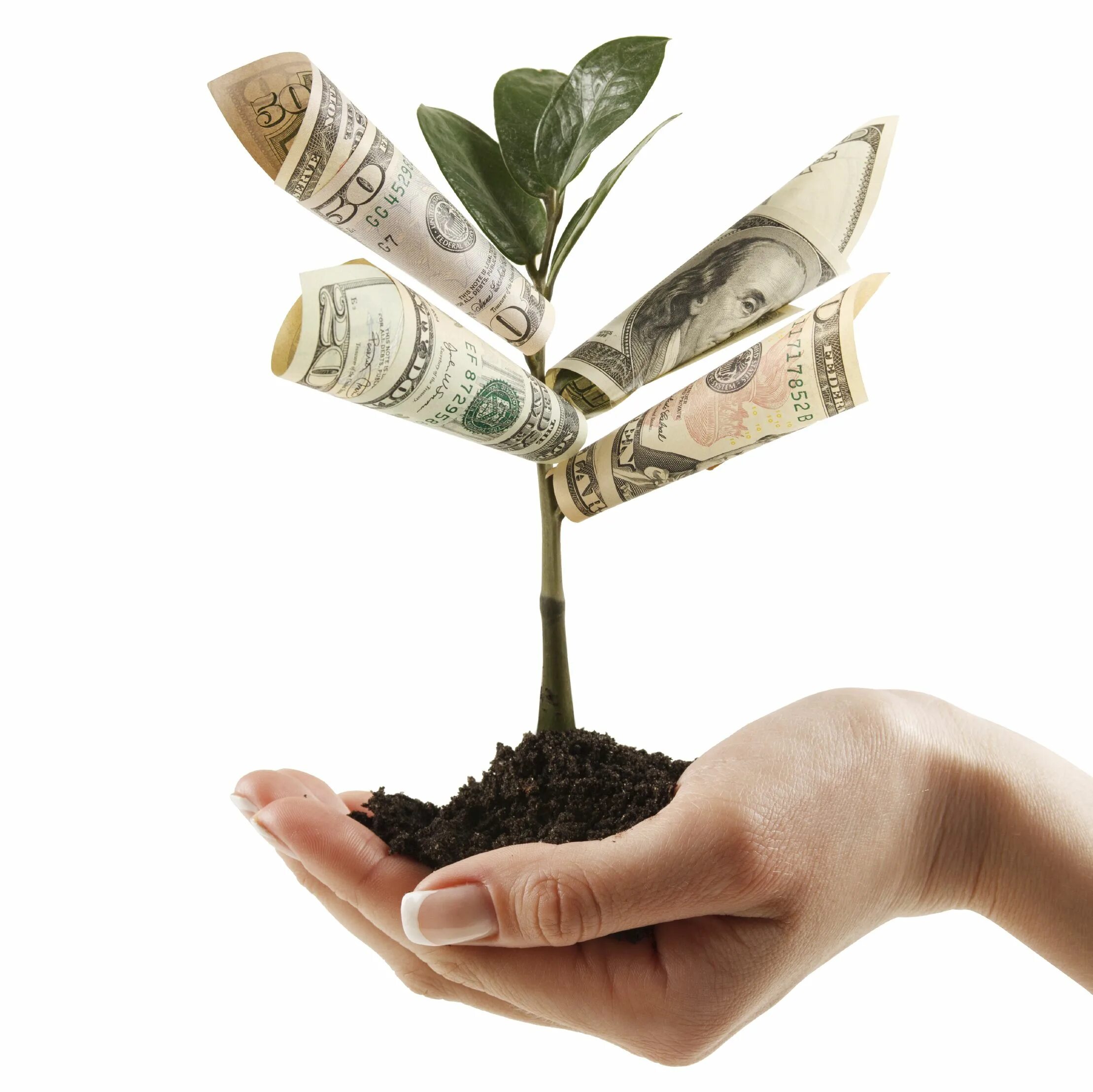 Организации по займу денег. Дерево с деньгами. Денежное дерево с деньгами. Достаток богатство. Успех богатство благополучие.