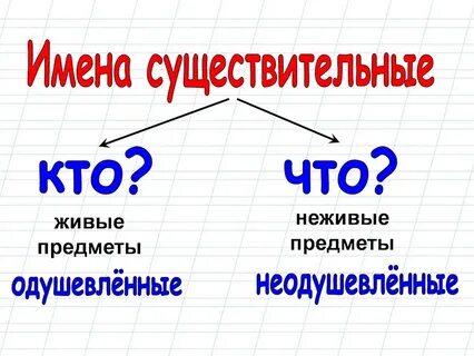 Одушевленные слова существительные примеры