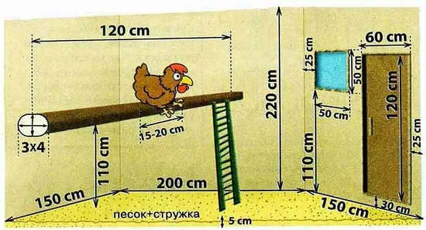 Сколько гнезд курам. Насест для кур несушек чертежи. Насест для кур несушек Размеры. Схема насеста для кур несушек. Схема насестов в курятнике.