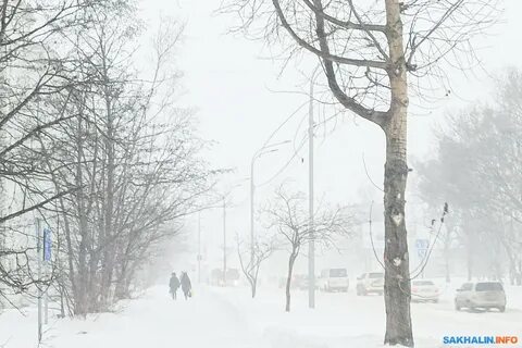 Мартовские метели