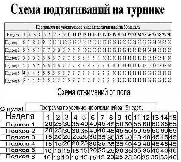 Рост подтягиваний. Схема увеличения подтягиваний на турнике с нуля. Схема подтягиваний на турнике за 30 дней с нуля. Схема подтягиваний на турнике с нуля таблица. Подтягивания схема тренировок.