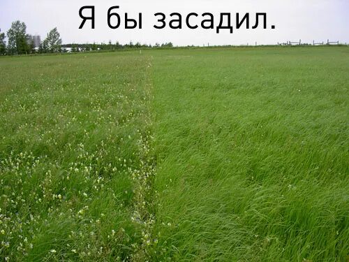 Новый мем в поле Steam Community :: Guide :: ЧТО ТАКОЕ ЛИЧНАЯ ЖИЗНЬ (руководство ля растеров 1000