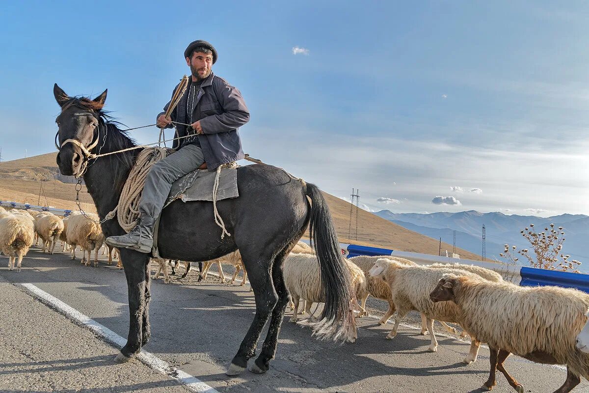 Одинокий чабан. Человек пасет овец. Жан клод чабан. Григорий чабан фото. Пастух в горах.