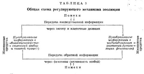 Заполните схему эволюция
