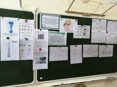 Ответы на тест рэш функциональная грамотность. Ответы на тест рэш функциональная грамотность
