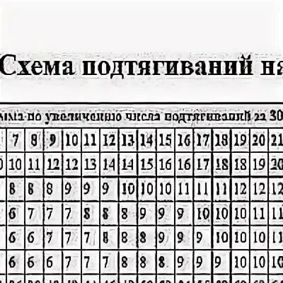 Схема подтягиваний 30 недель