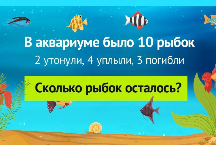 Сколько рыбок. В аквариуме 10 рыбок 2 утонули 4 уплыли 3. В аквариуме было 10 рыбок 2 утонули. В аквариуме 10 рыбок загадка. В 10 аквариумах было поровну рыбок