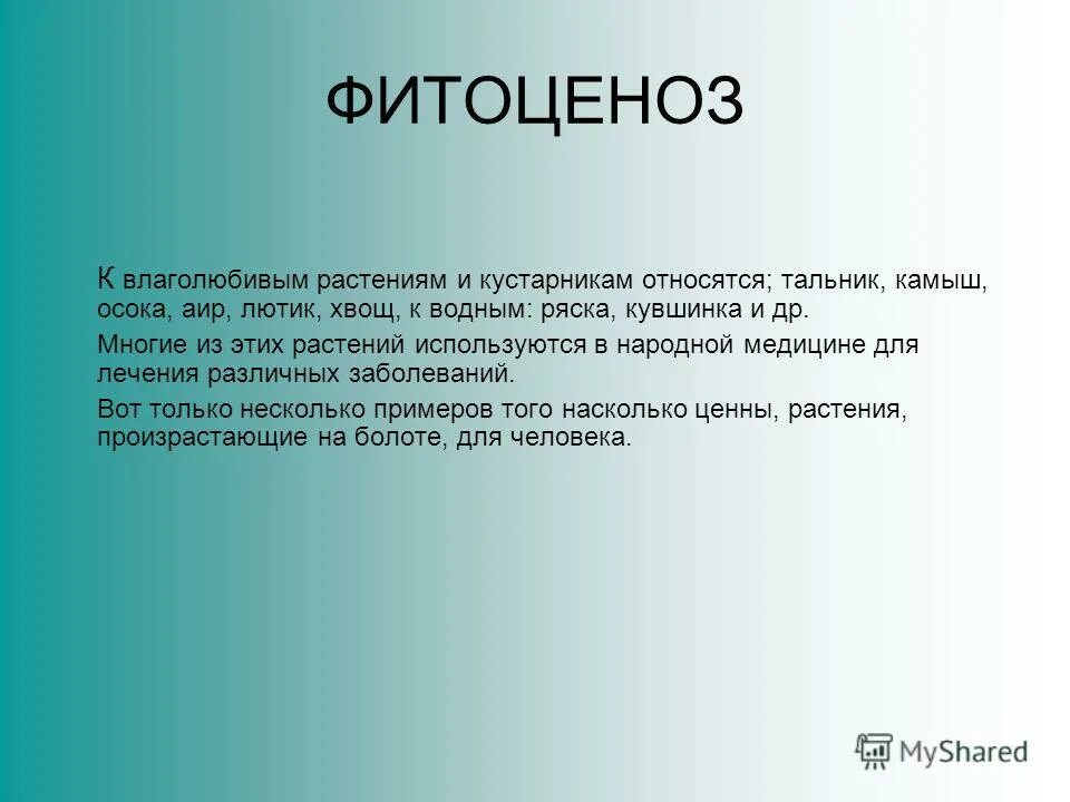 Что такое зооценоз кратко определение. Биоценоз фитоценоз зооценоз микробоценоз таблица. Фитоценоз зооценоз микробоценоз. Зооценоз. Зооценоз.