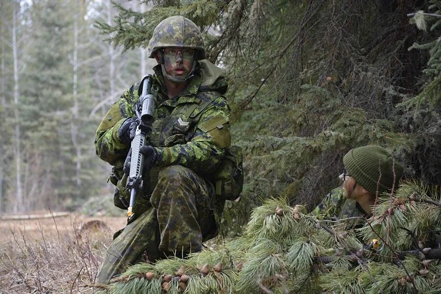 Canadian army