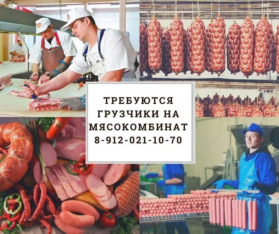 Номер телефона отдел кадров мясокомбинат. Рабочие на мясокомбинат без опыта. Мясокомбинат без ГМО. Канцтовары на мясокомбинате. Мясокомбинат г Дмитров фото.