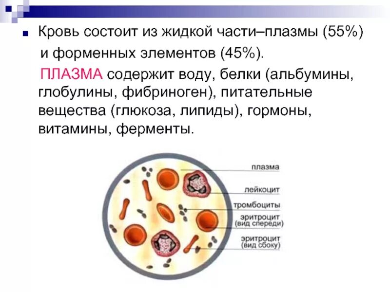 Витамины в плазме крови