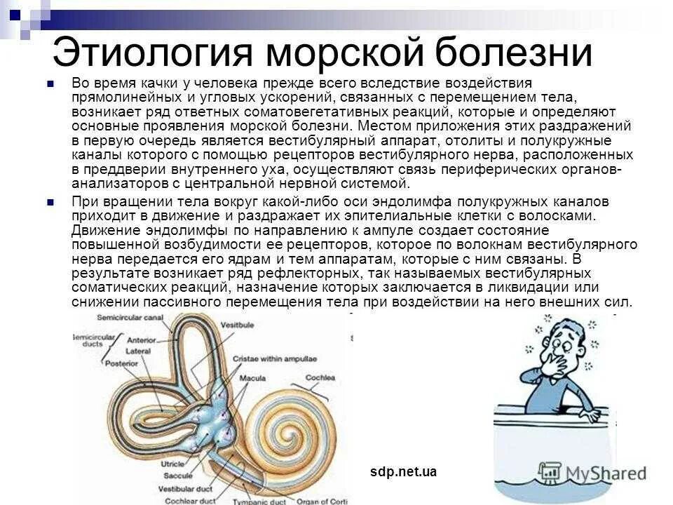 Страдаете морской болезни. Морская болезнь. Морская болезнь причины. Сообщение про морскую болезнь. Морская болезнь причины её возникновения и профилактика.