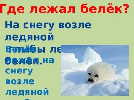 Белек 2 класс презентация