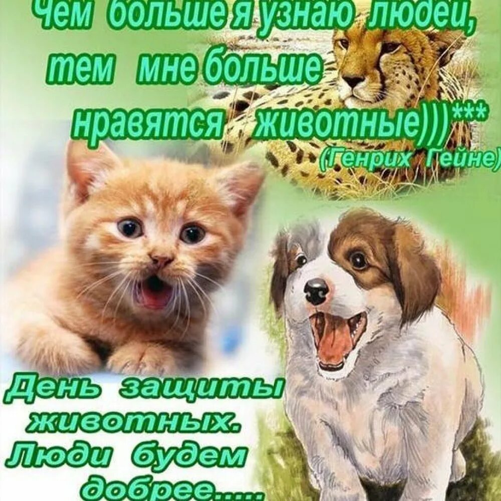 Праздник день защиты животных. Всемирный день животных. международный день защиты животных. поздравление с днем домашних животных. открытки с днем животных.