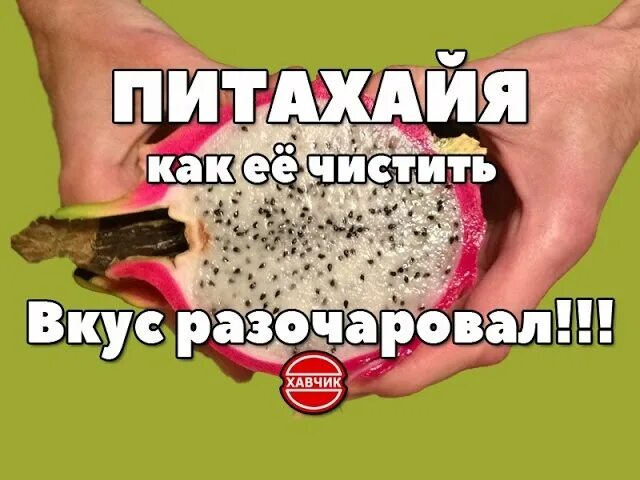 Как чистить питайю. Дракон фрукт вкус. питахайя как чистить. как правильно чистить питахая. как чичтмть фрукт драгон.